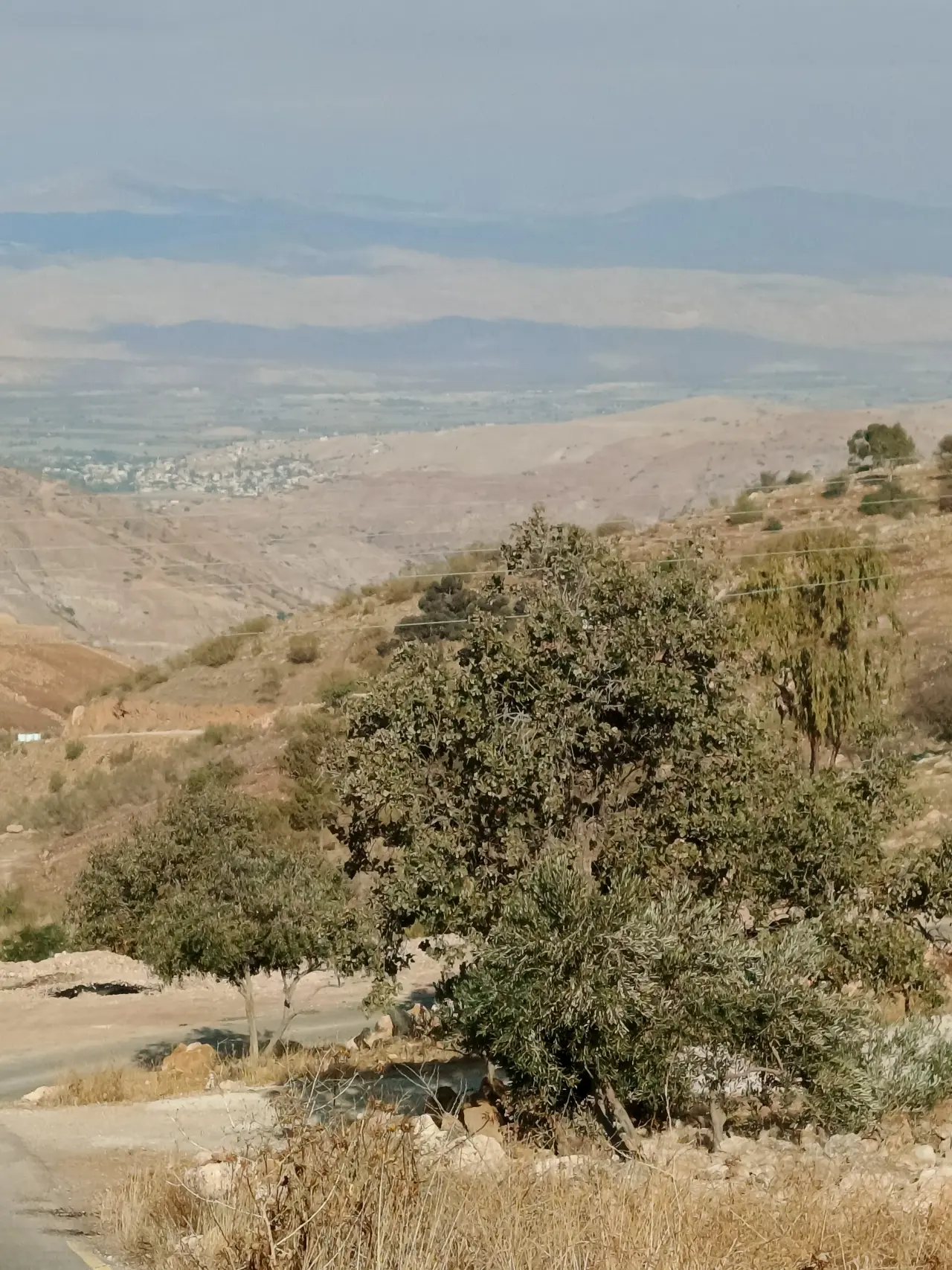 Land for sale in Other – photo 8