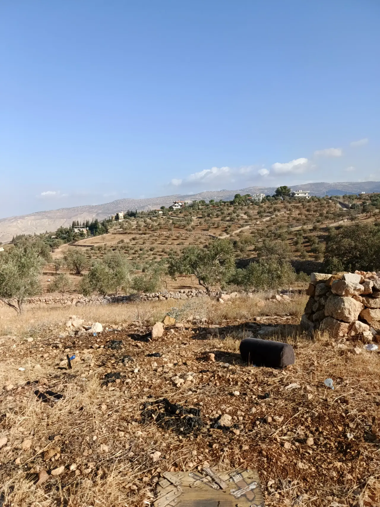 Land for sale in Other – photo 3