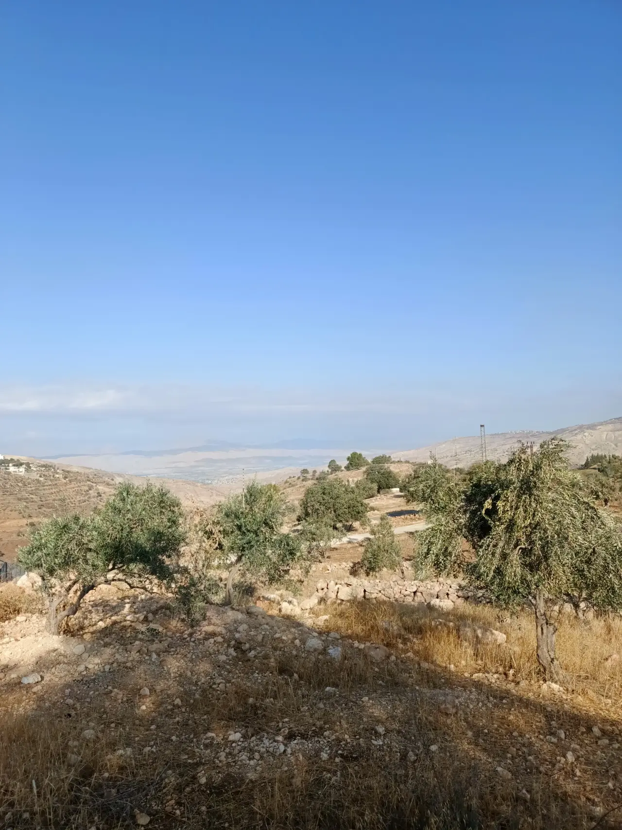Western views from 5 dunums of olive land on two streets, Al Subeihi, Salt