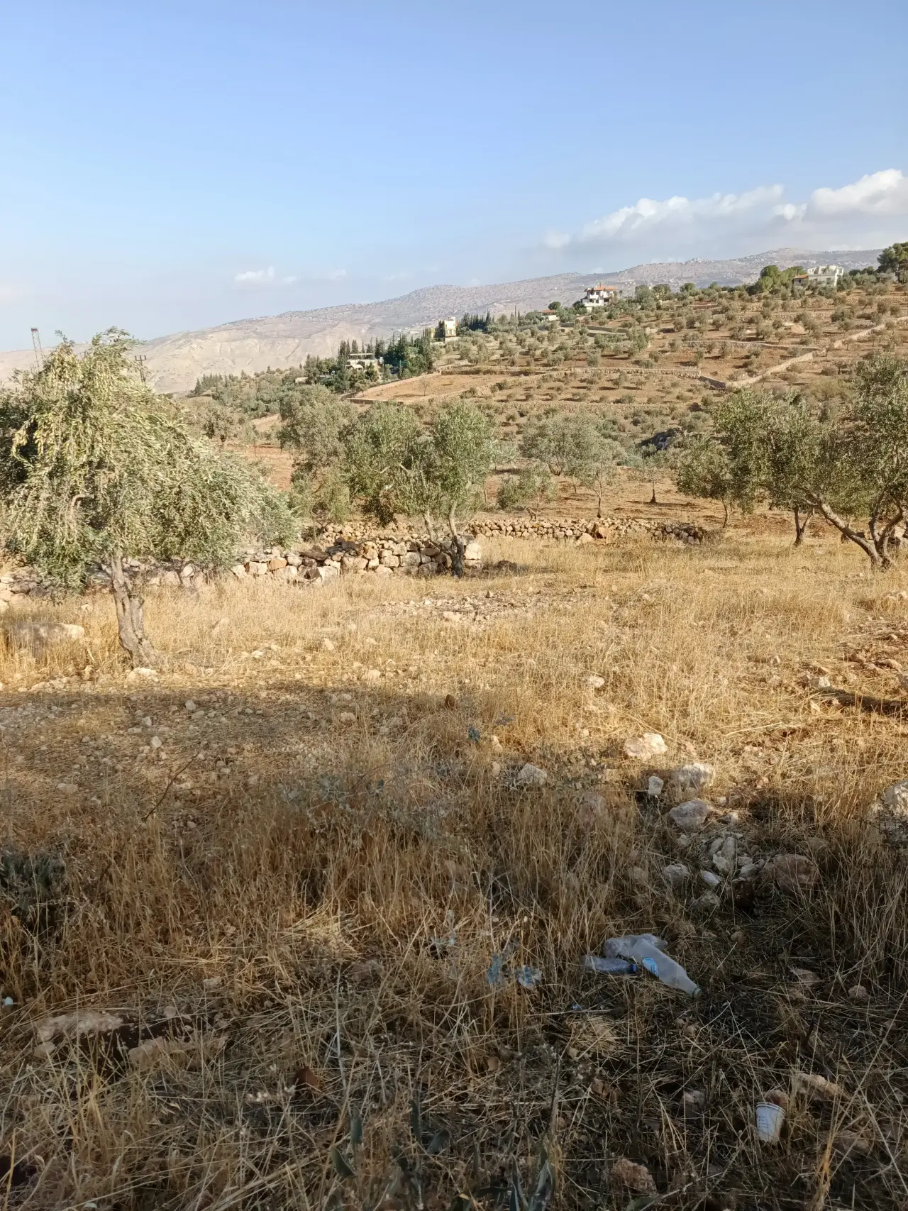 Land for sale in Other – photo 2