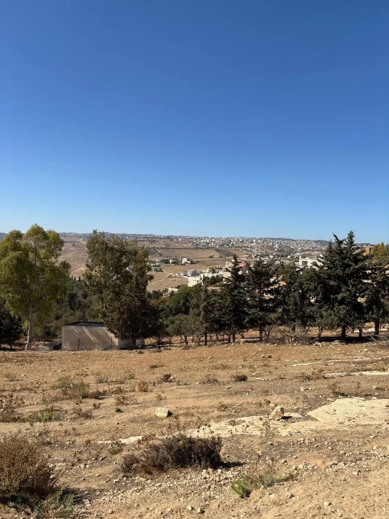 Land for sale in Al Saro – photo 2