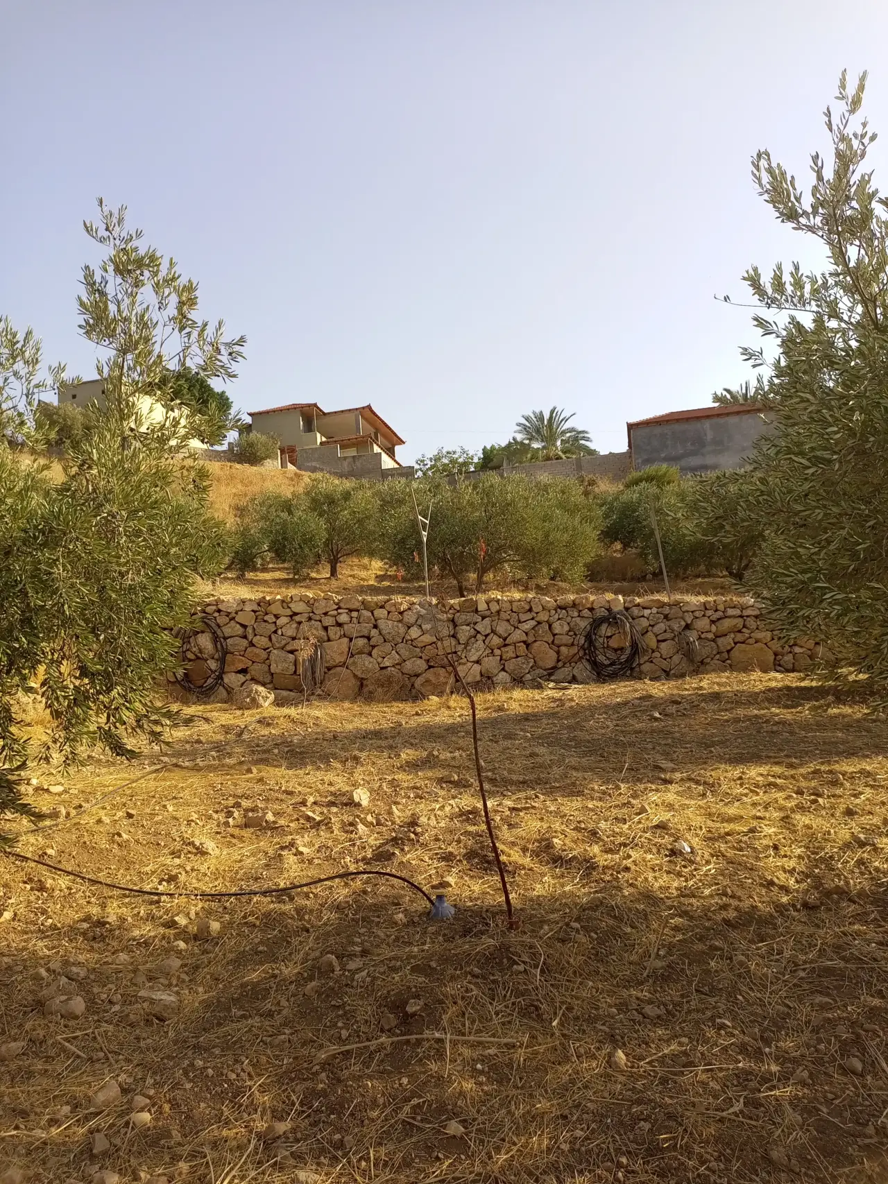Land for sale in Al Subeihi – photo 5
