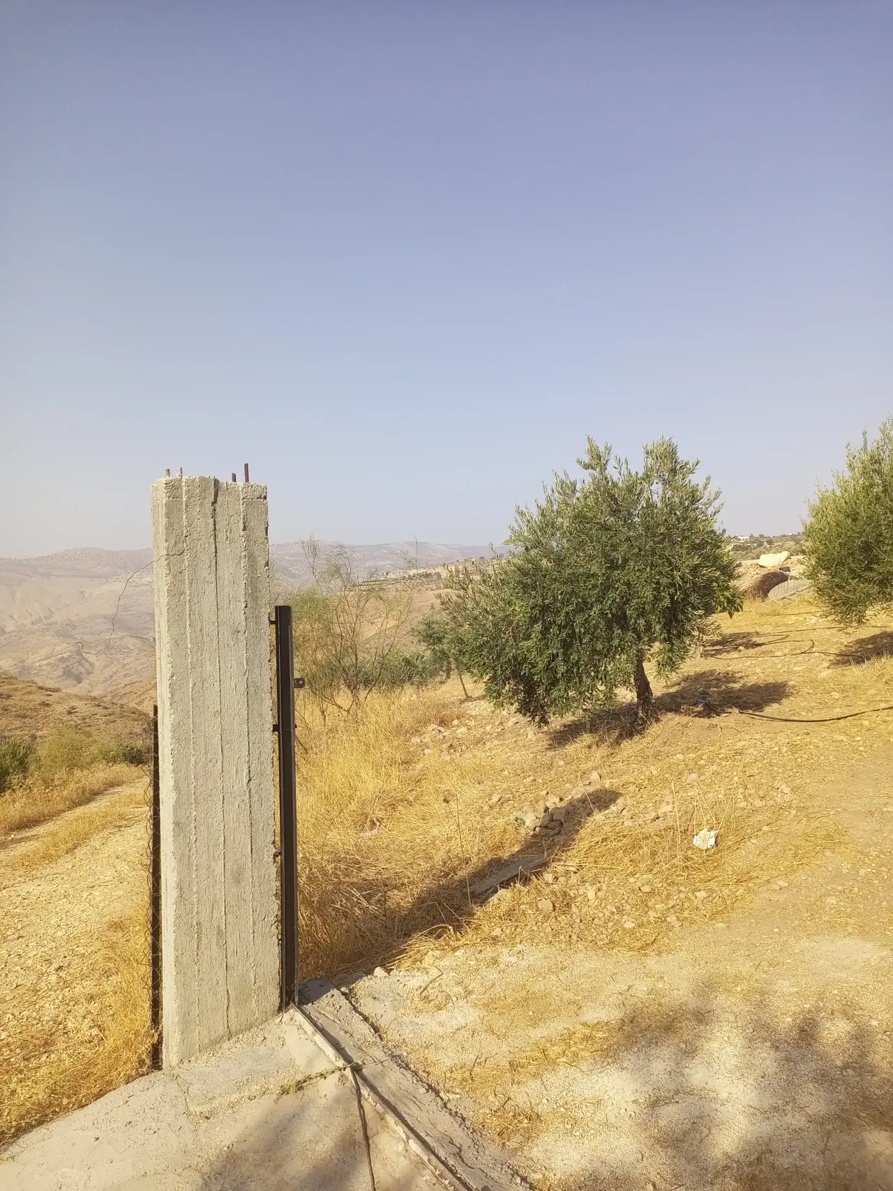 Land for sale in Al Subeihi – photo 8