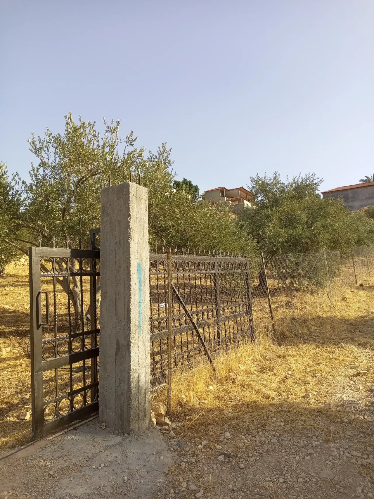 Land for sale in Al Subeihi – photo 7