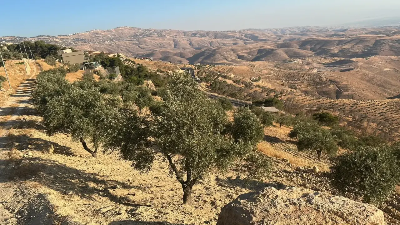 Land for sale in Al Subeihi – photo 4
