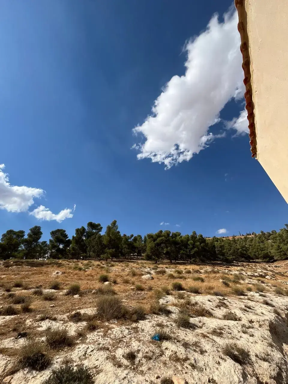 Land for sale in Al-Hashimiyyah – photo 10