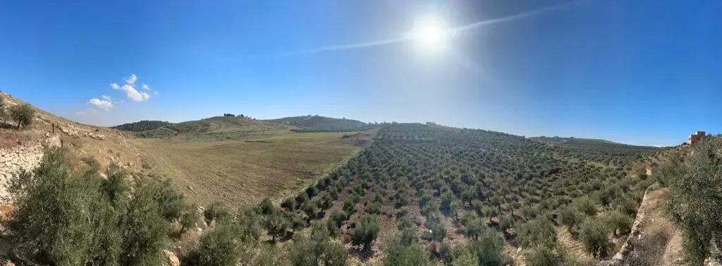 Land for sale in Other – photo 2