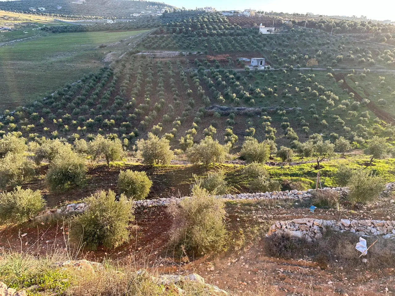 Land for sale in Other – photo 8