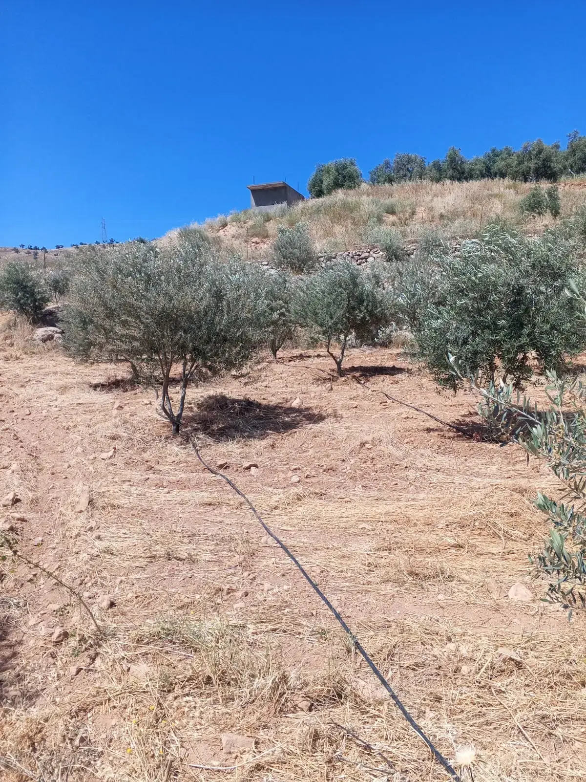 Land for sale in Other – photo 7