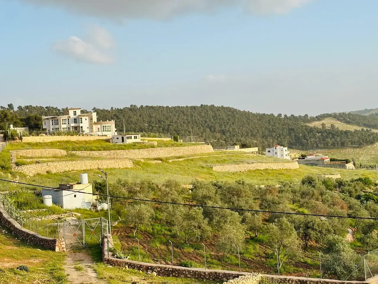 Land for sale in Other – photo 4