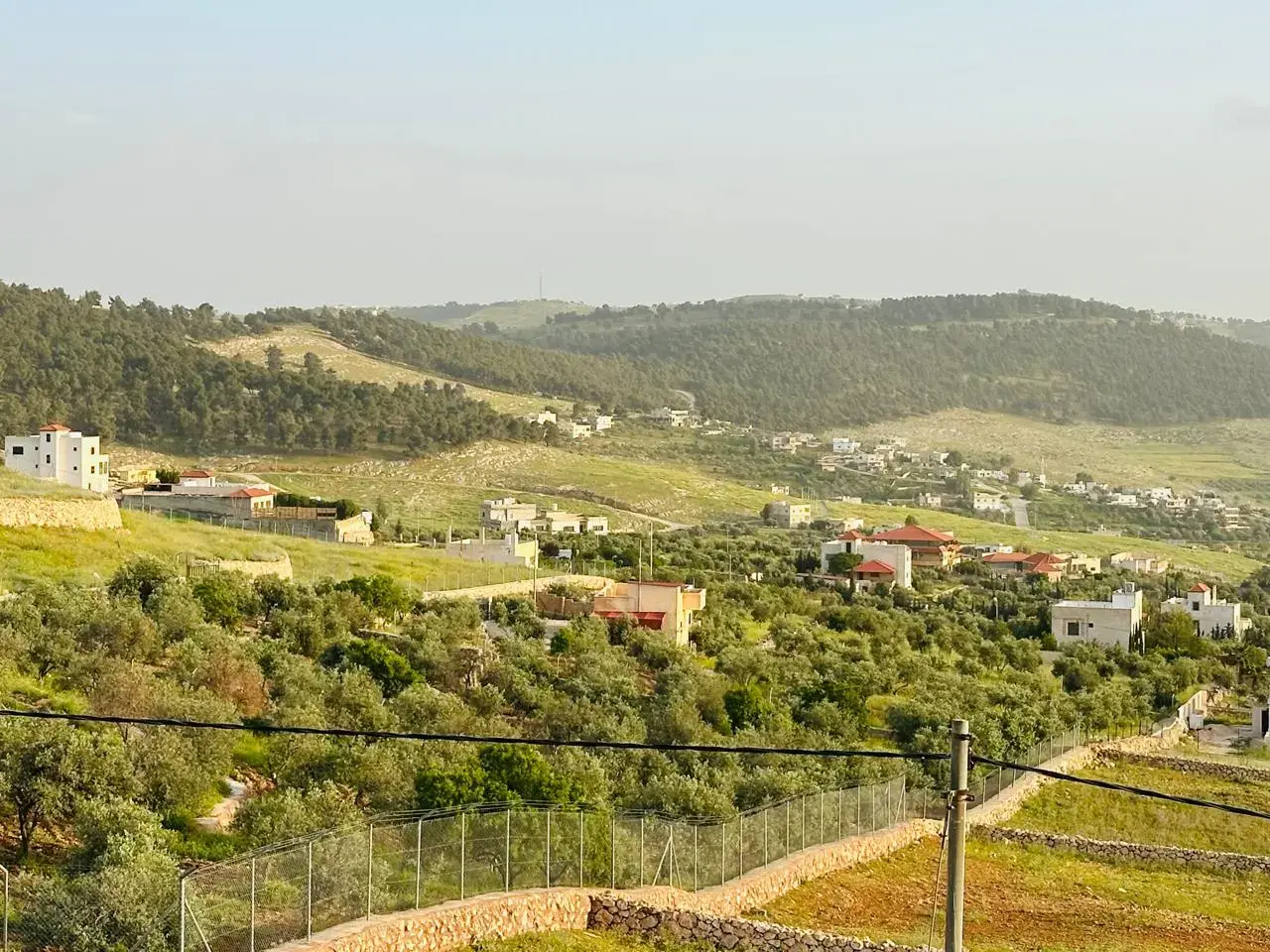Land for sale in Other – photo 5