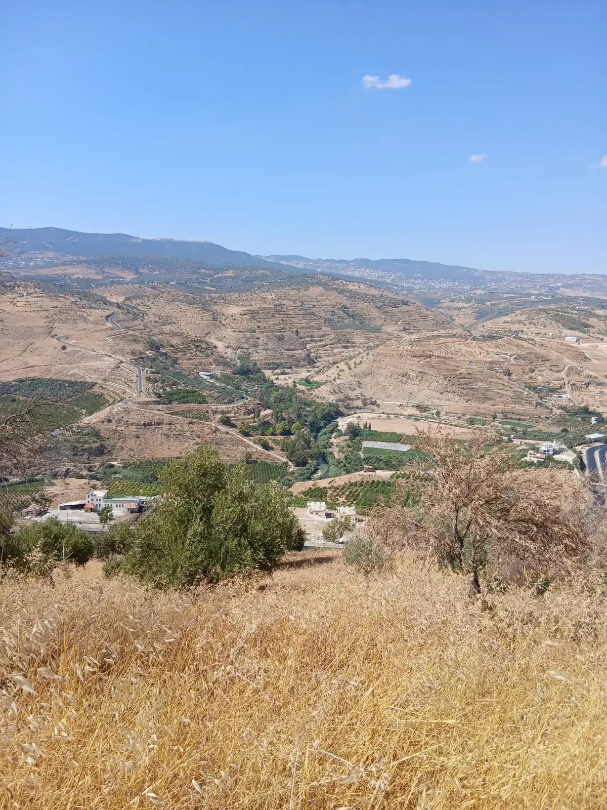 Land for sale in Al-Mastaba – photo 9