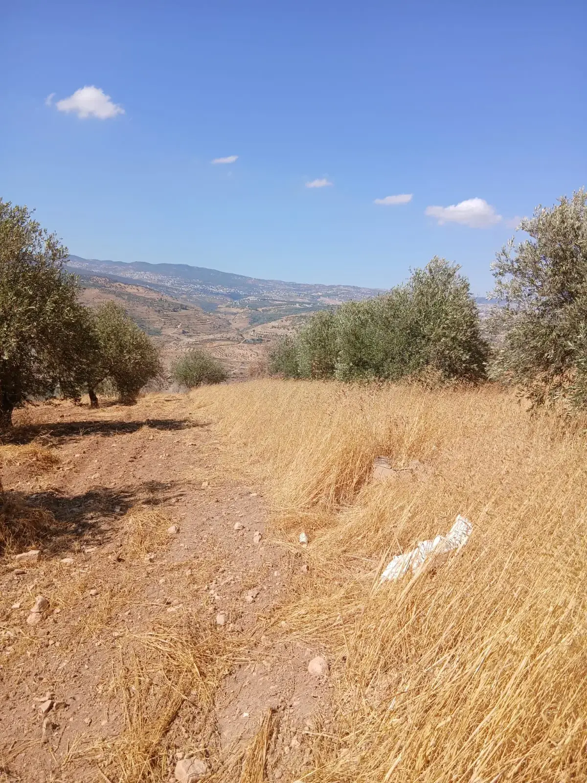 Land for sale in Al-Mastaba – photo 11