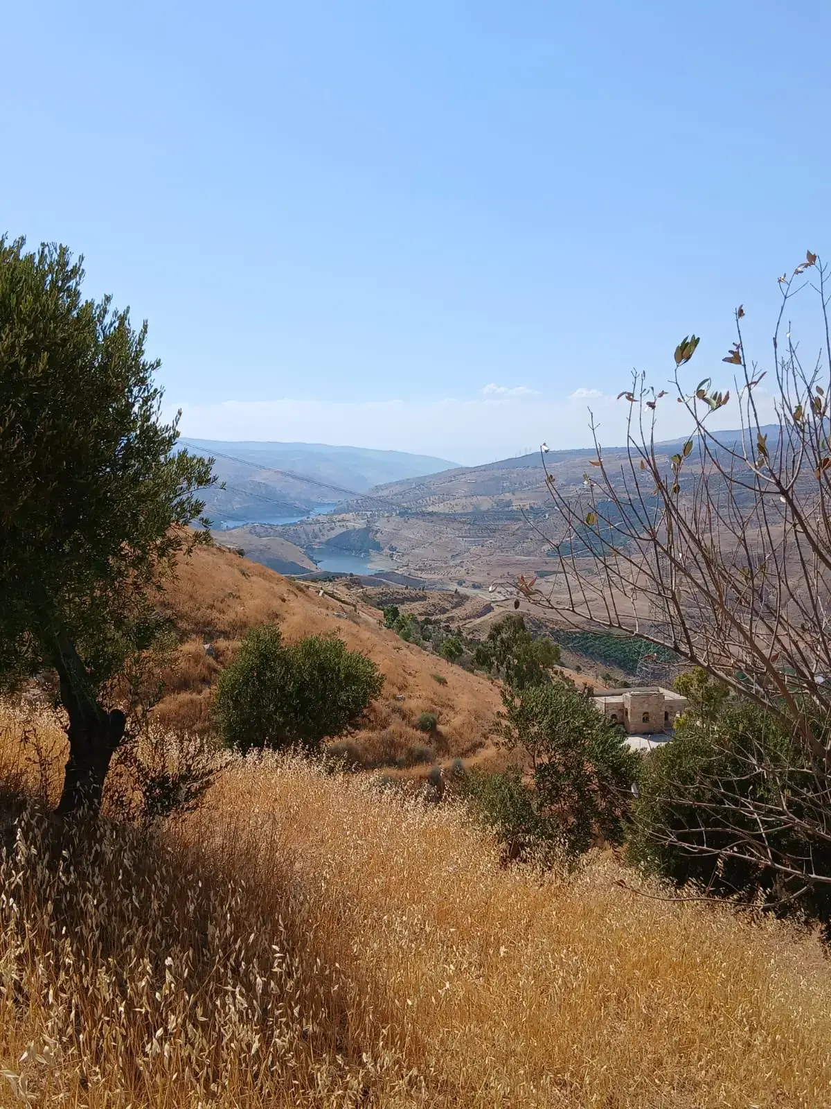 Land for sale in Al-Mastaba – photo 13