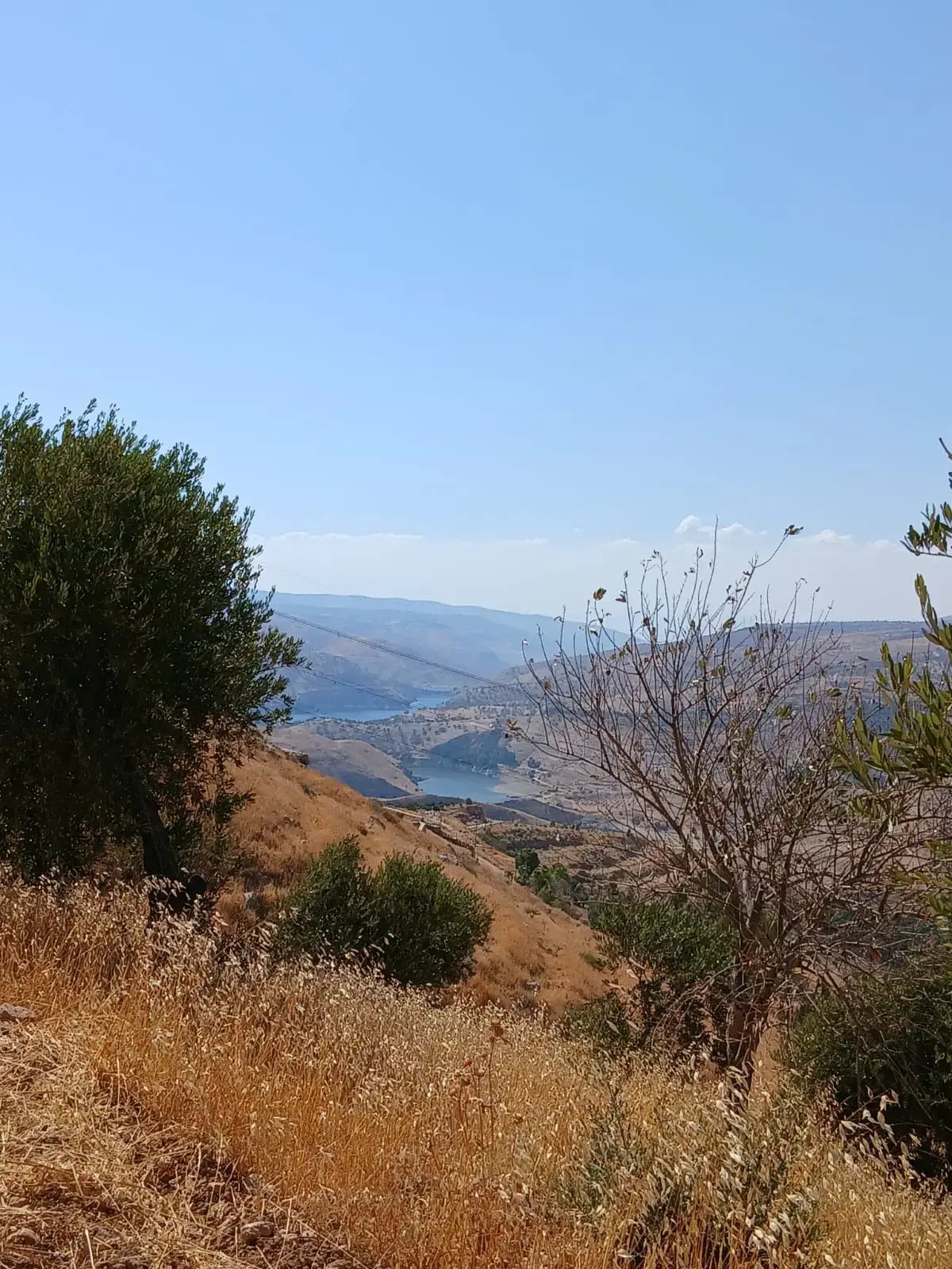 Land for sale in Al-Mastaba – photo 3