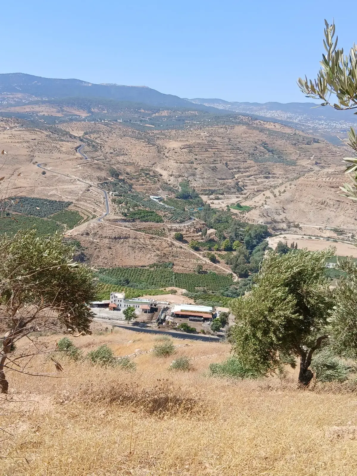 Land for sale in Al-Mastaba – photo 15