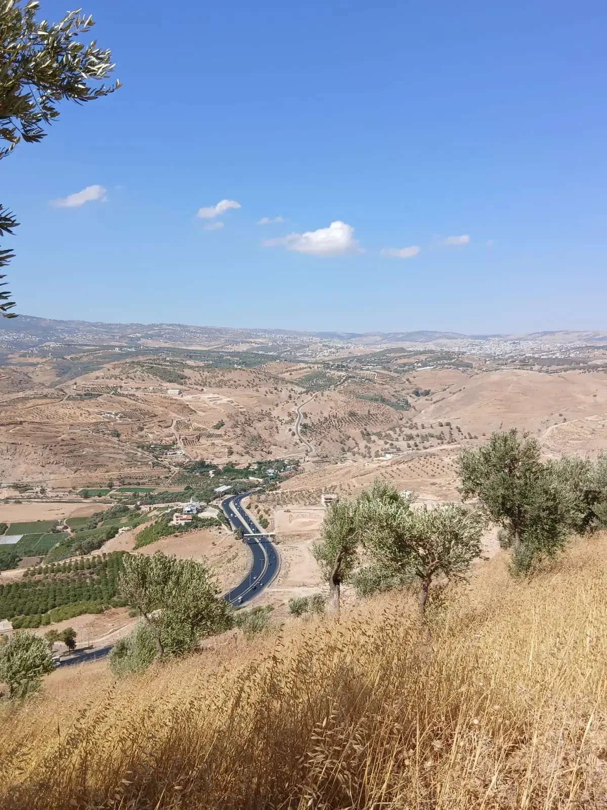 Land for sale in Al-Mastaba – photo 4