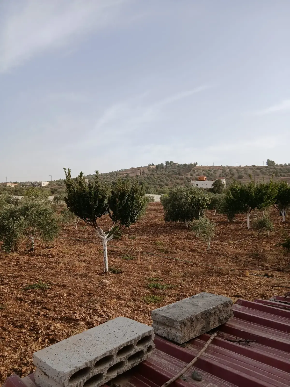 Land for sale in Al-Mastaba – photo 7