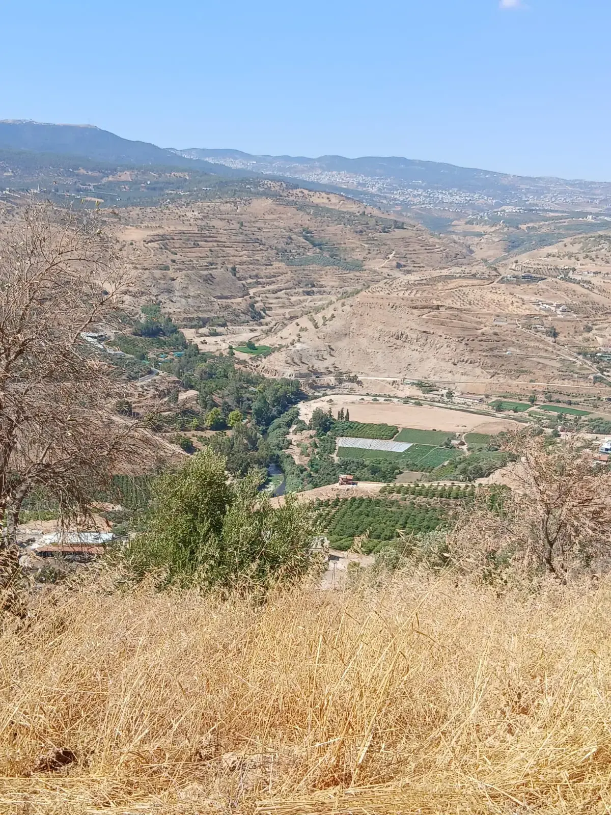 Land for sale in Al-Mastaba – photo 8