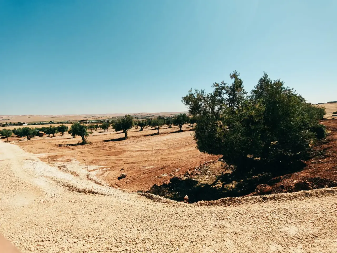 3.5-dunum plots with water and power in Al-Zaytouna village, Bala'ama