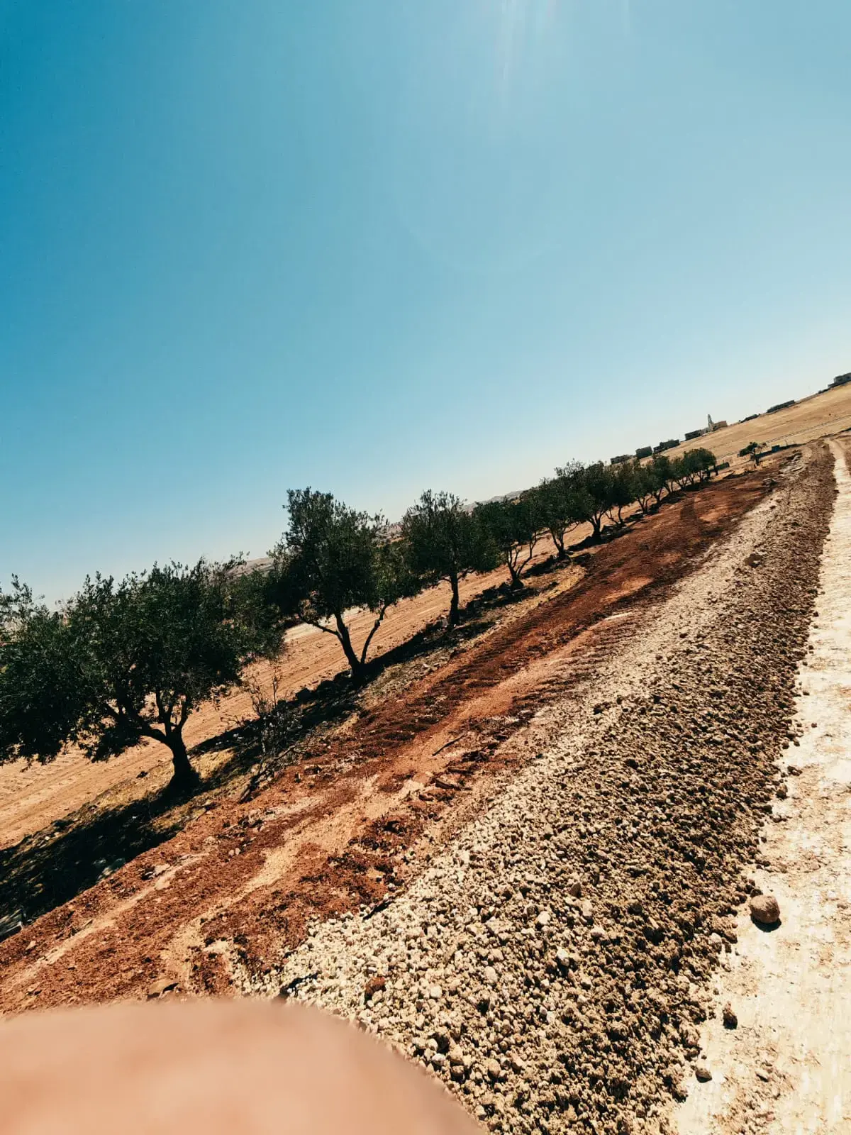 Land for sale in Bala'ama – photo 3