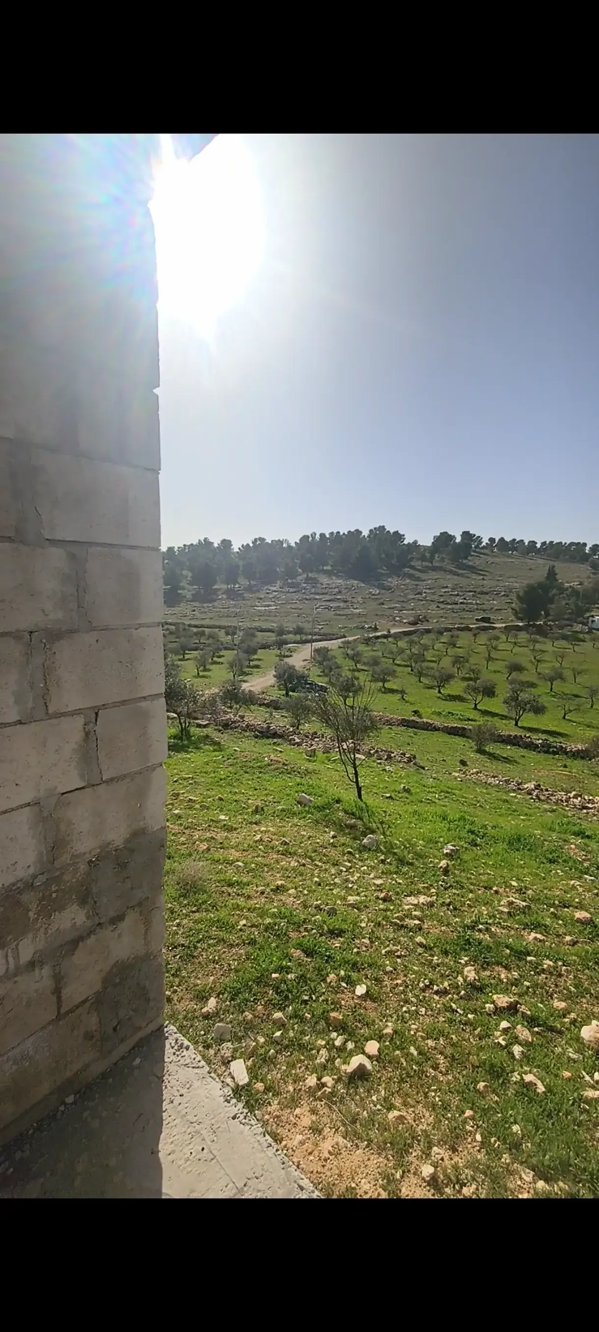 Land for sale in Ain wa Al-Ma'mariyyeh – photo 17