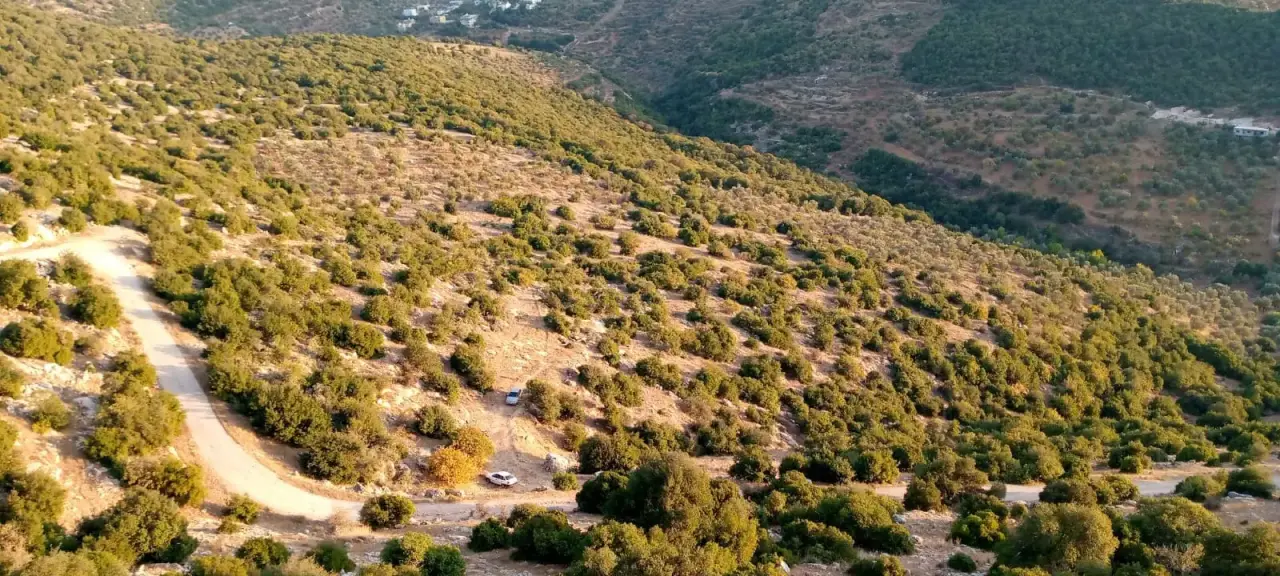 Reclaimed 9-dunum farmland with a 255 m road frontage in Ajloun