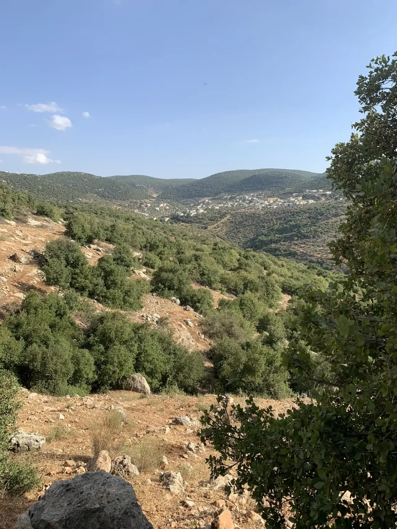 Land for sale in Other – photo 5