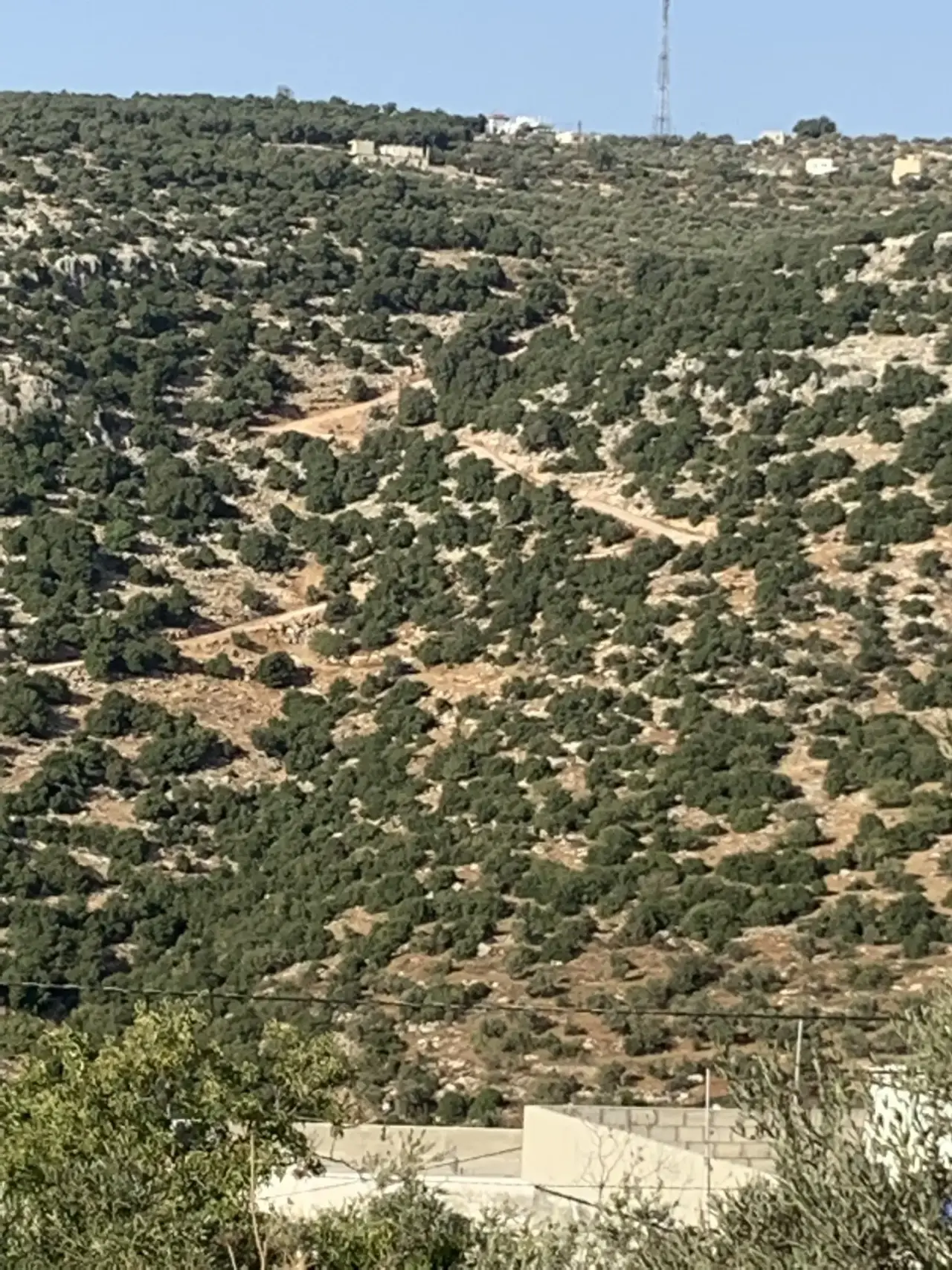 Land for sale in Other – photo 4