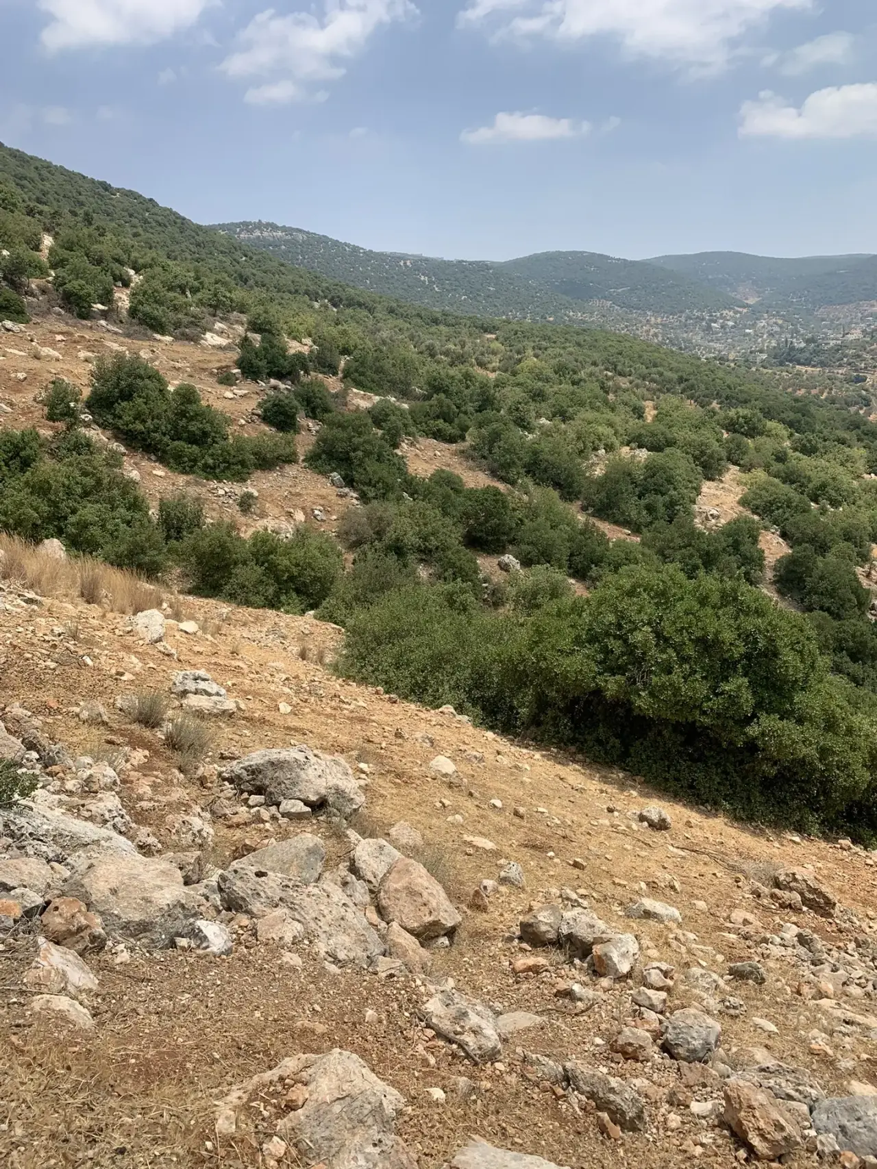 Land for sale in Other – photo 2