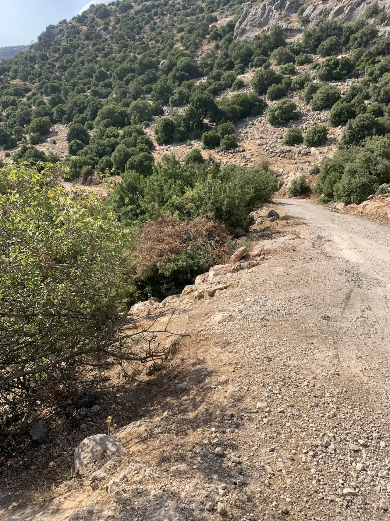 Land for sale in Other – photo 7