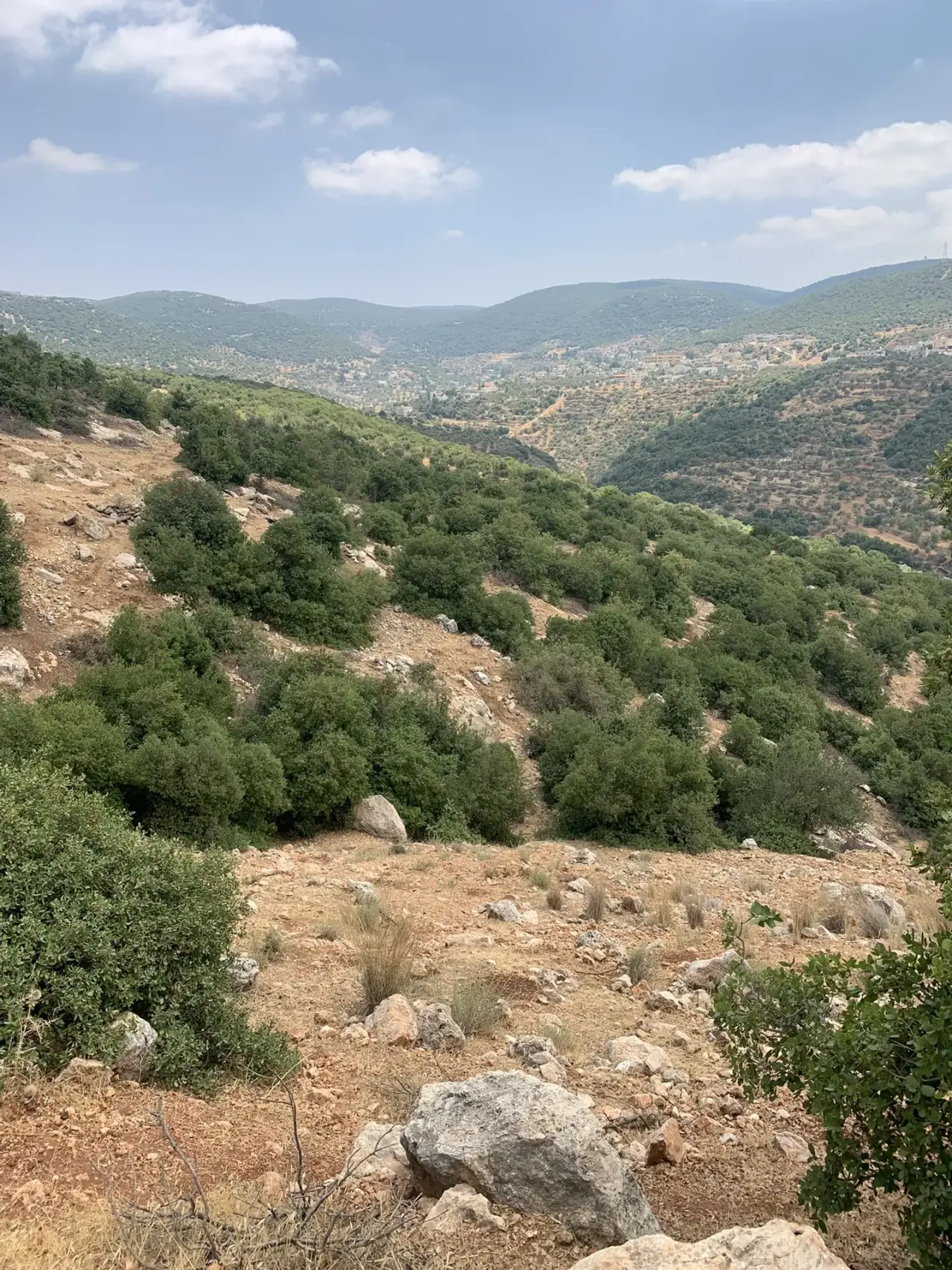 Land for sale in Other – photo 3