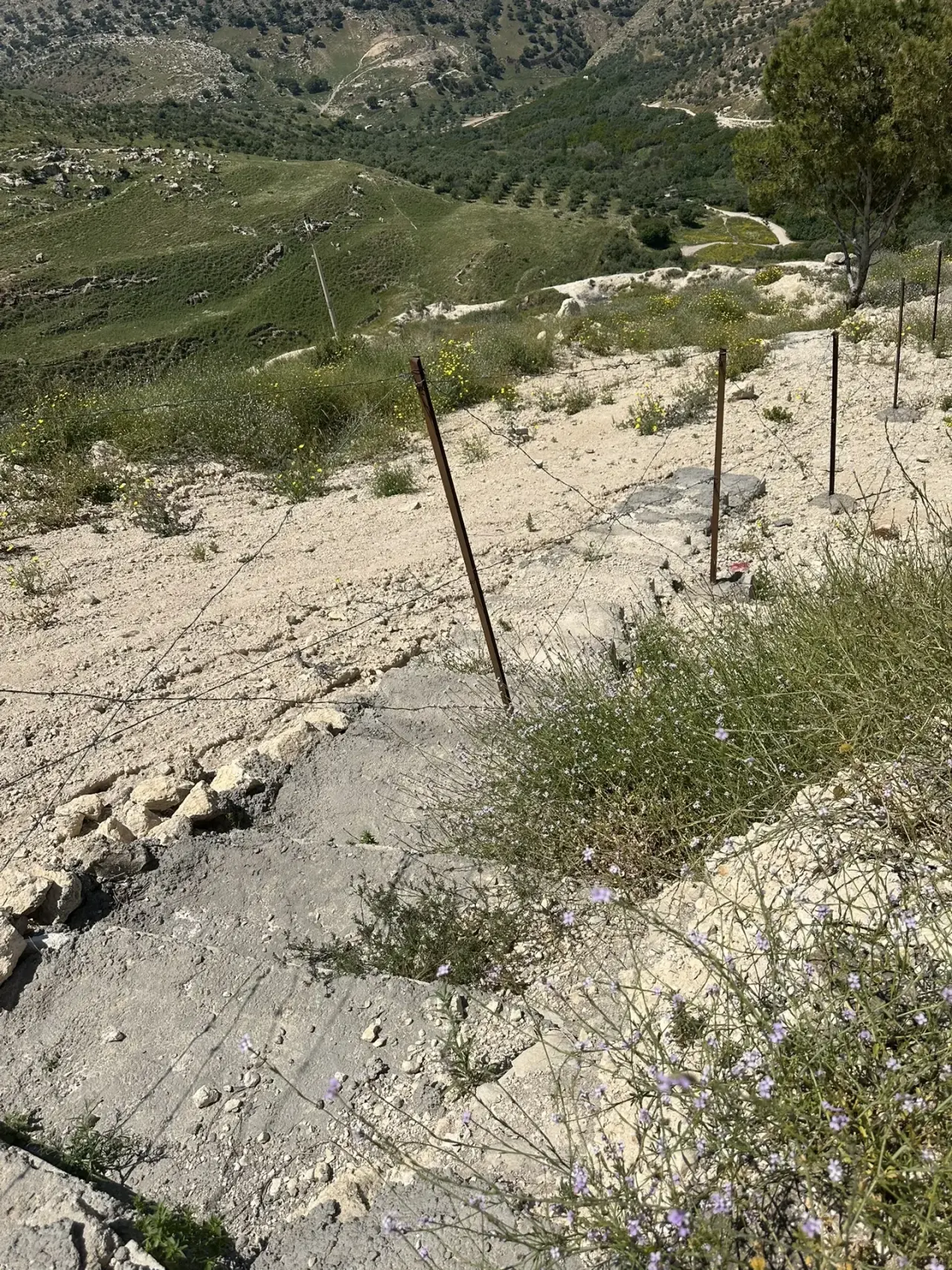 Land for sale in Other – photo 11