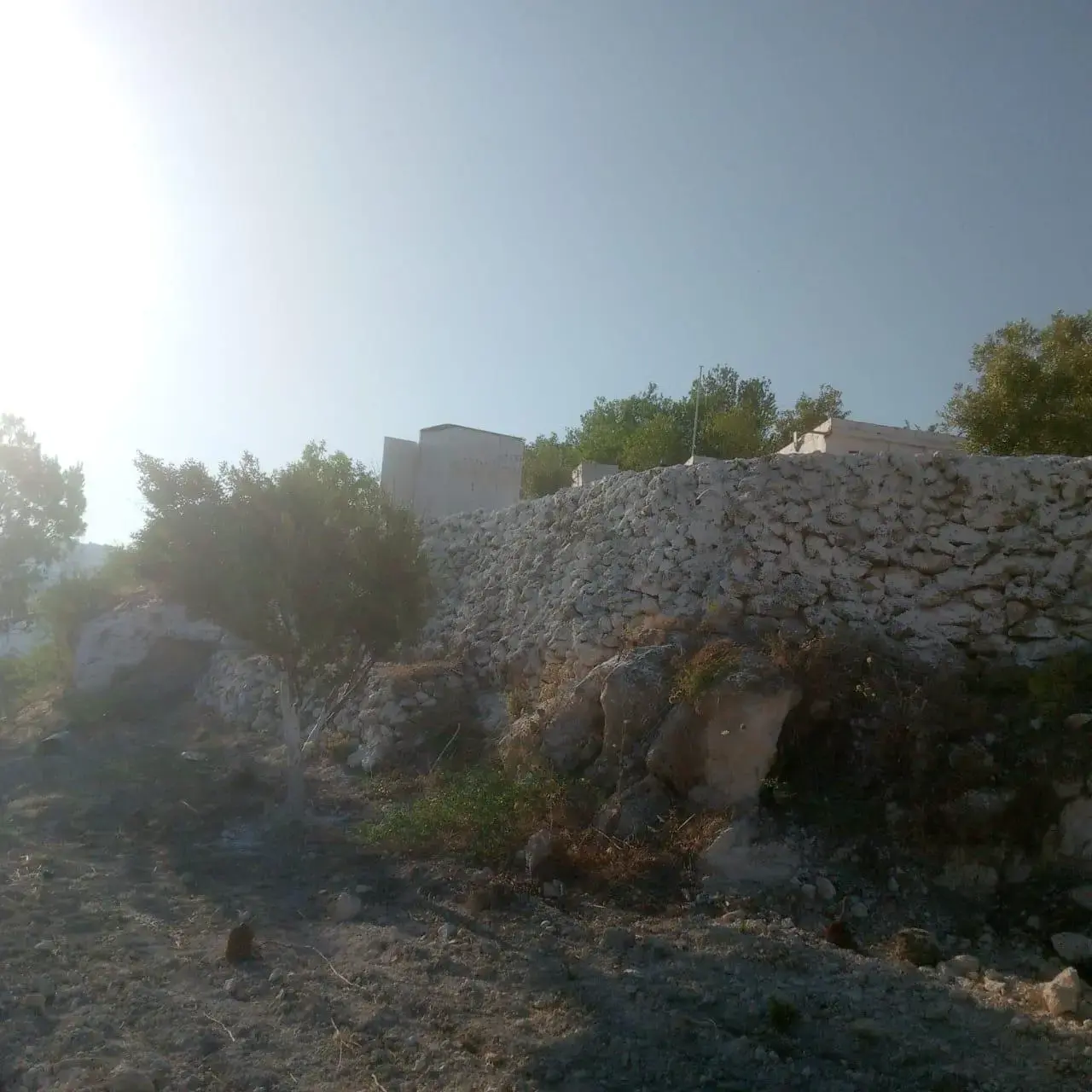 Land for sale in Other – photo 8