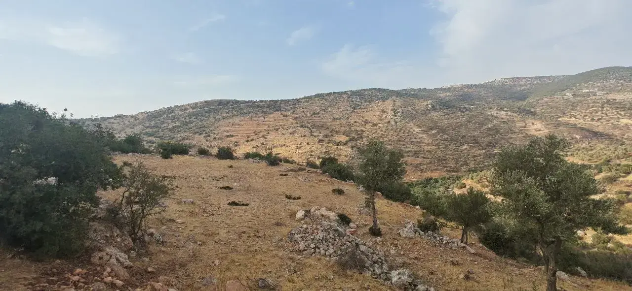 Land for sale in Other – photo 12