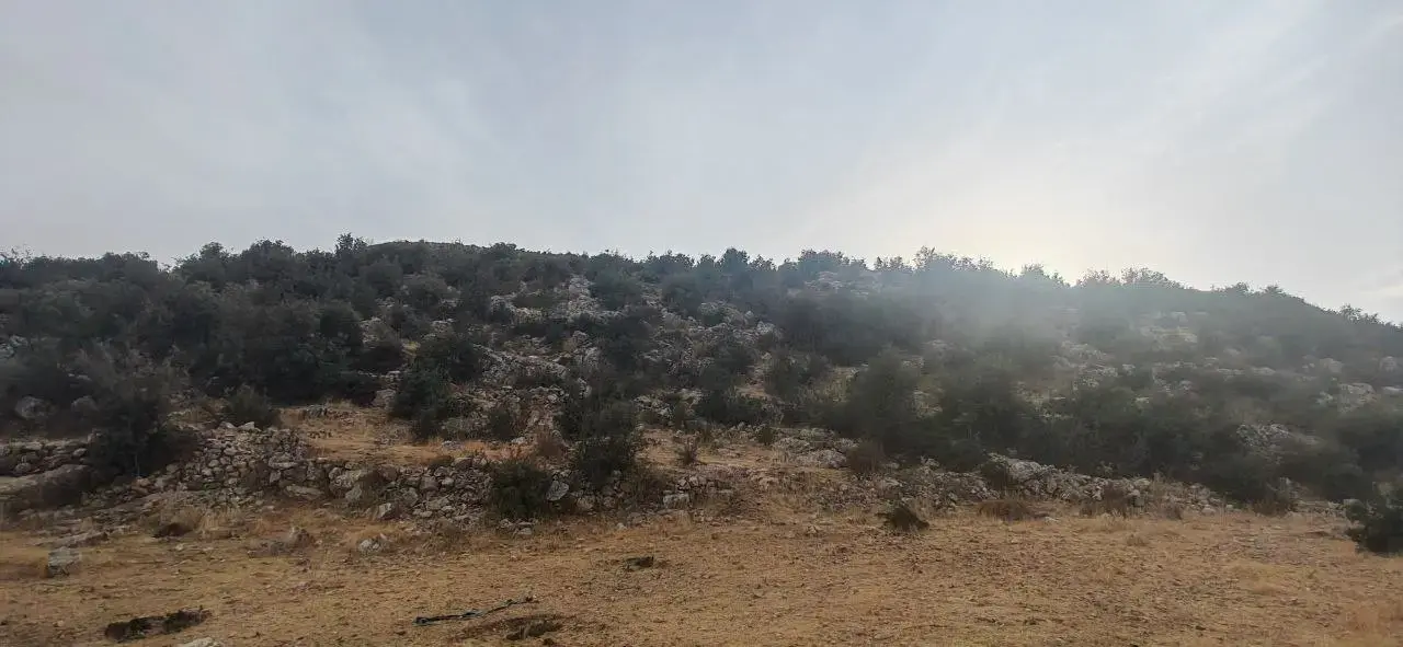 Land for sale in Other – photo 11