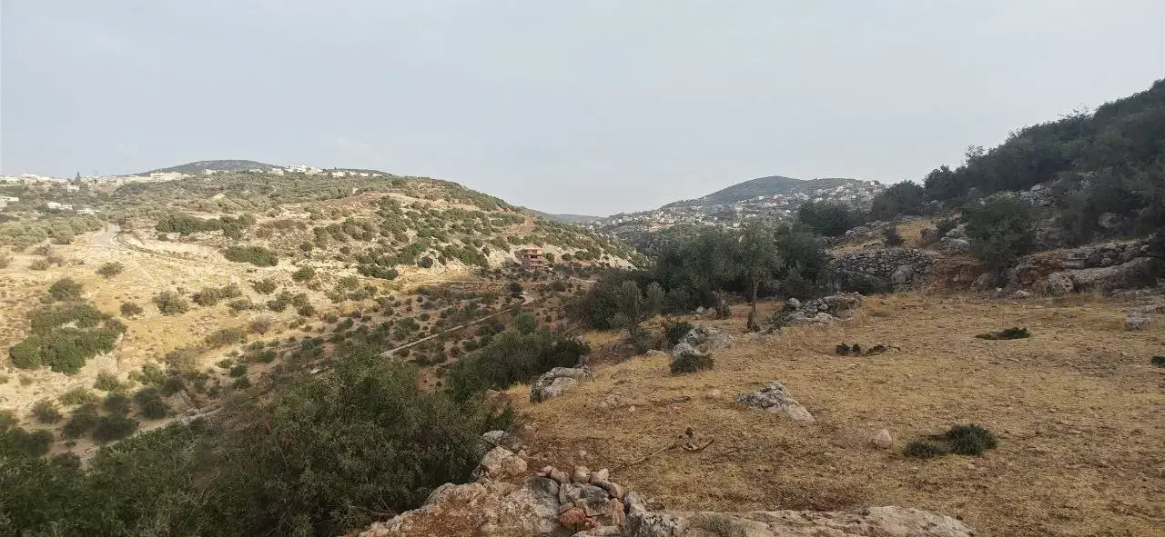 Land for sale in Other – photo 3