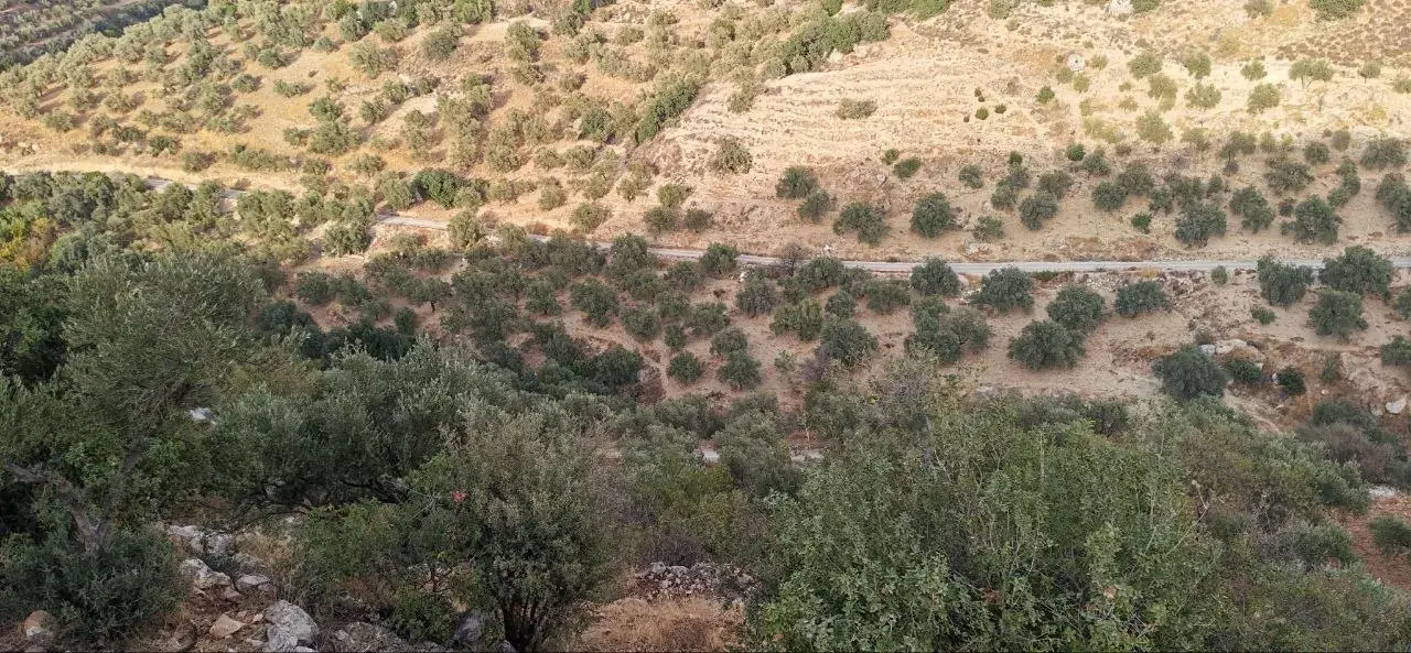 Ba'oun, Ajloun: 3,900 m² share of a plot overlooking Wadi Al-Rayyan