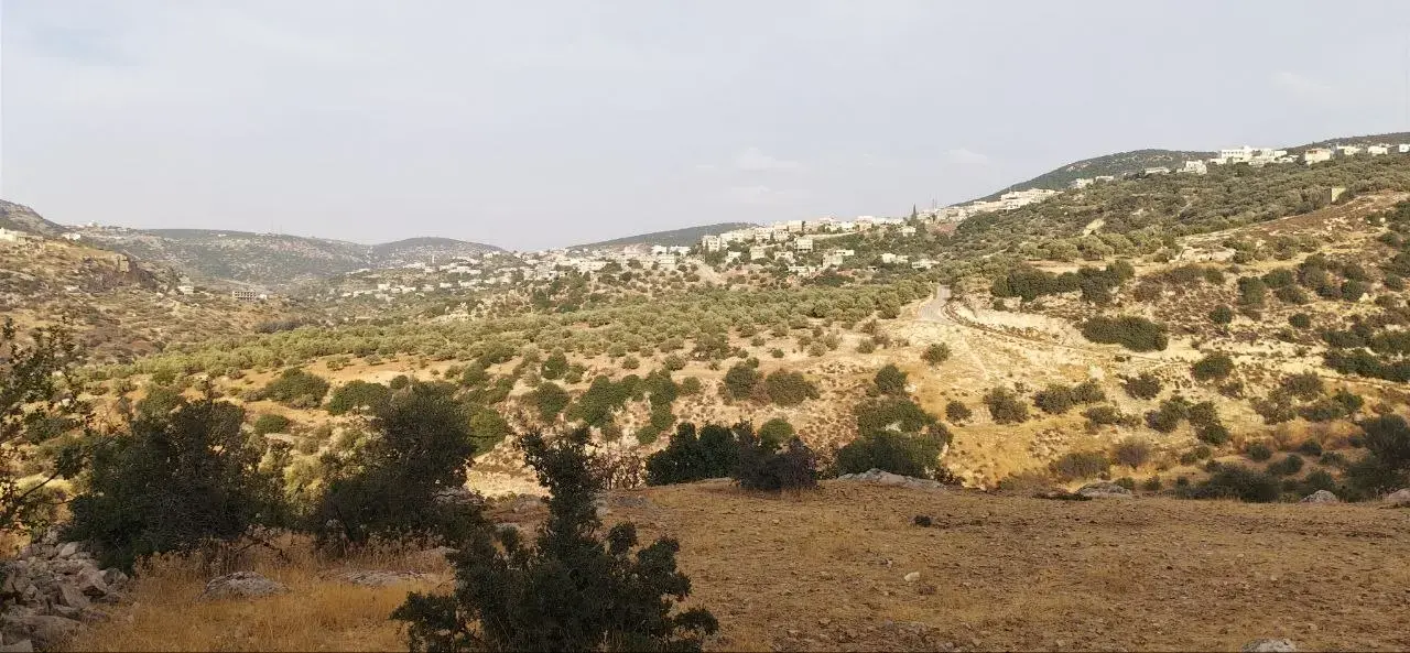 Land for sale in Other – photo 2