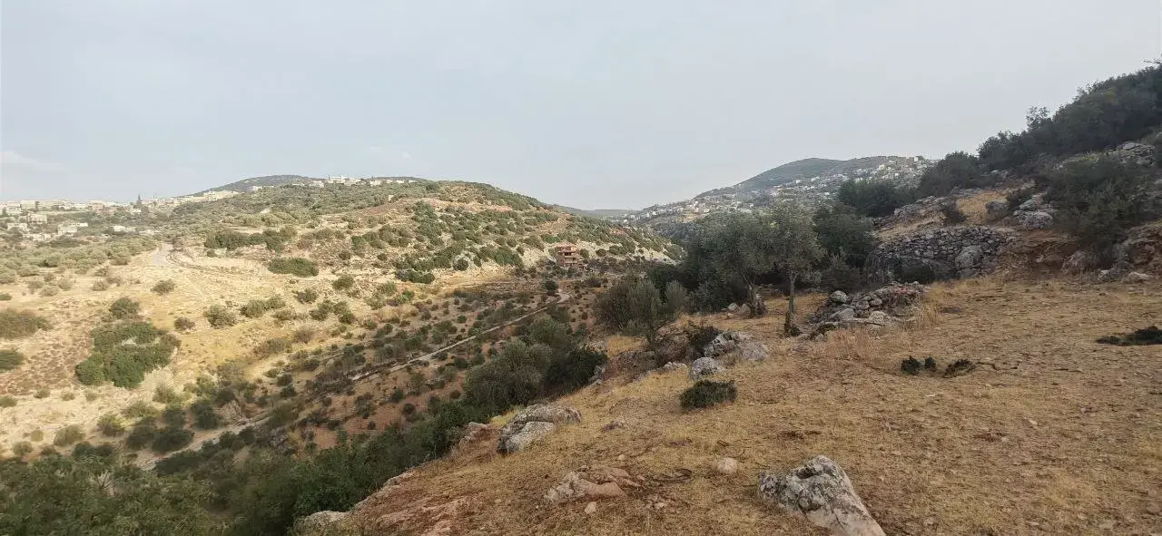Land for sale in Other – photo 4
