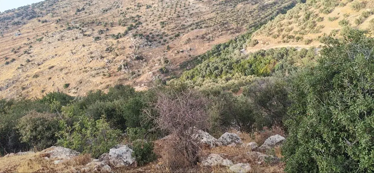 Land for sale in Other – photo 7