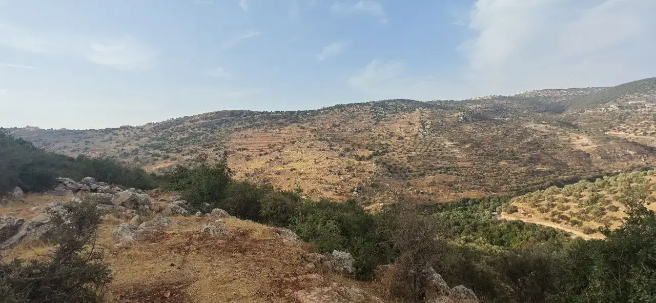 Land for sale in Other – photo 8