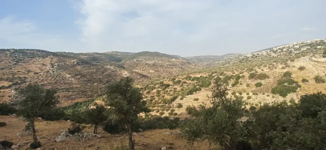 Land for sale in Other – photo 9