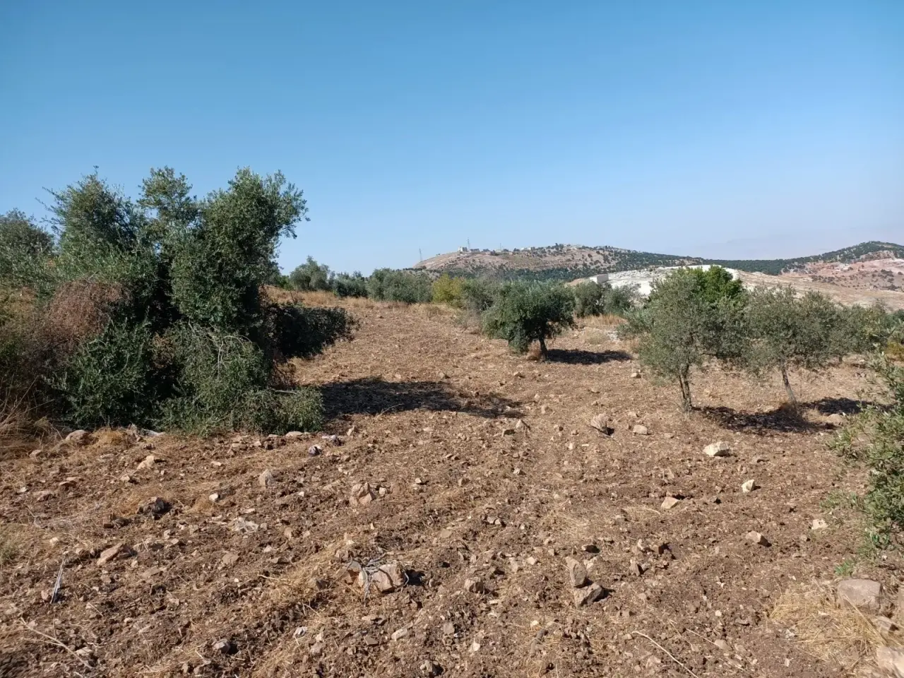 Land for sale in Other – photo 3