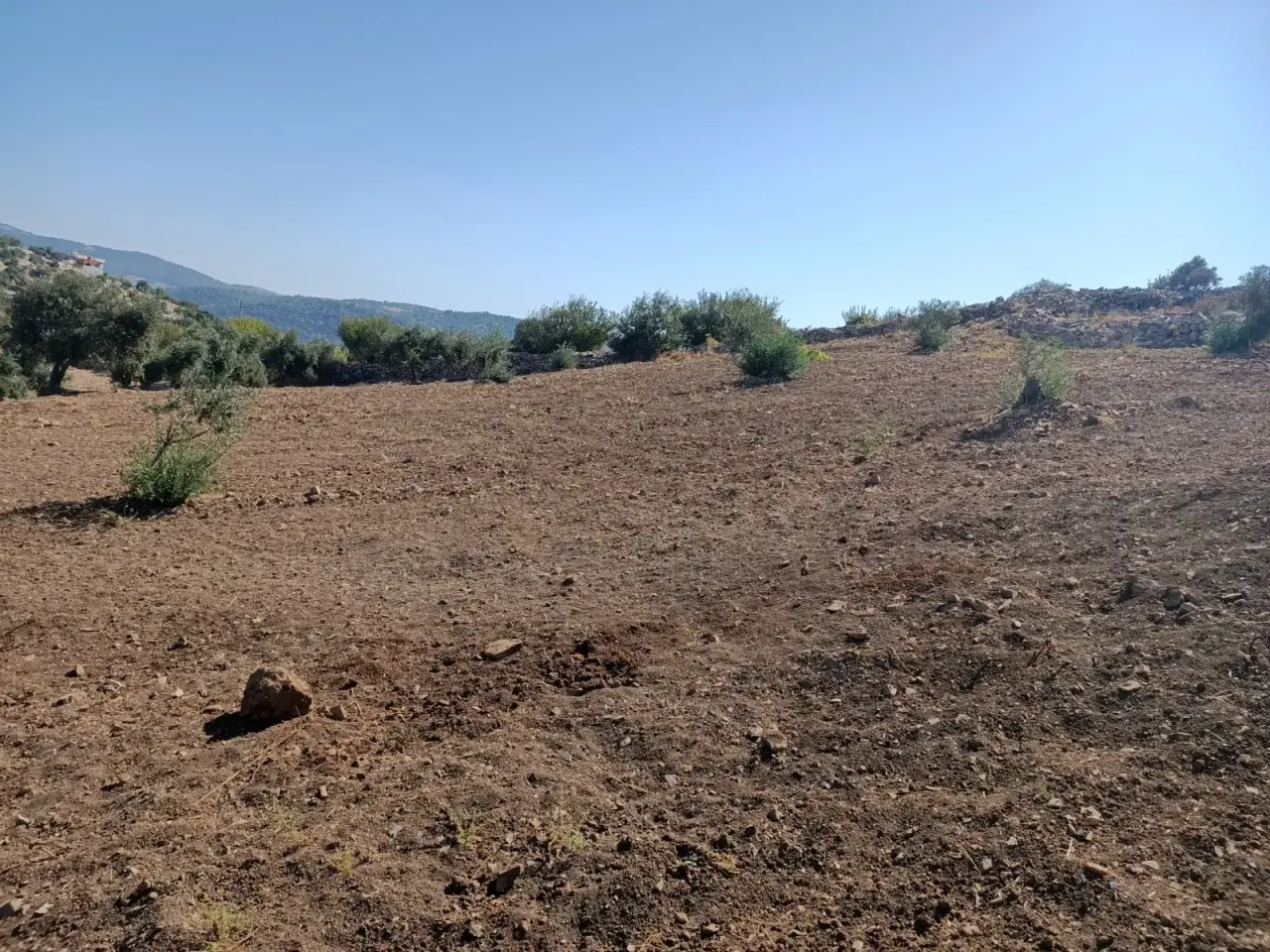 Land for sale in Other – photo 2