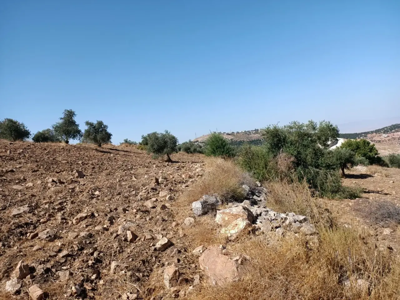 Land for sale in Other – photo 4
