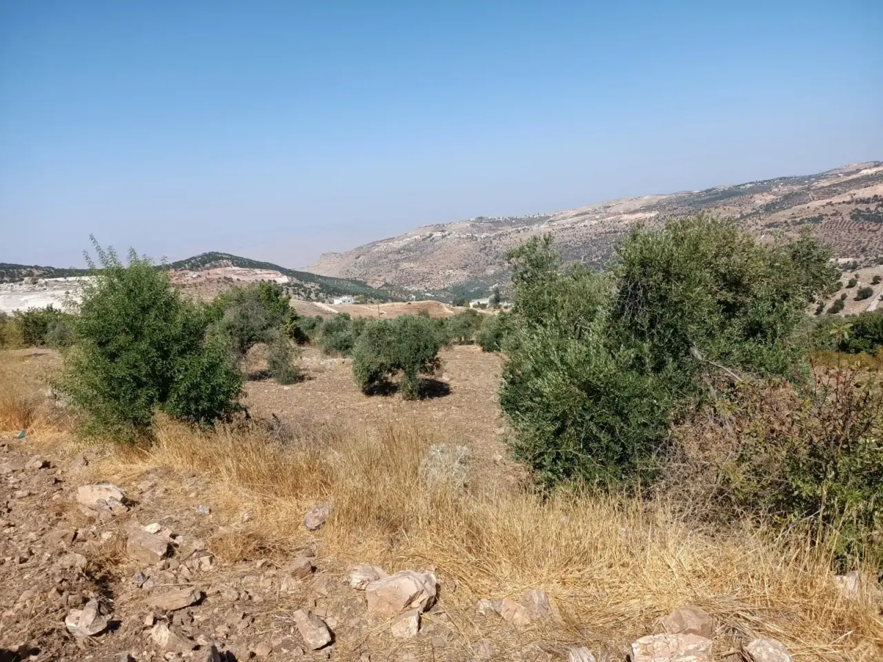 Land for sale in Other – photo 5
