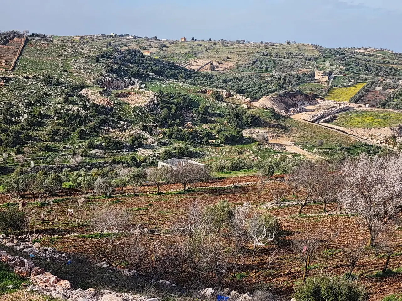 Land for sale in Sakhra – photo 3