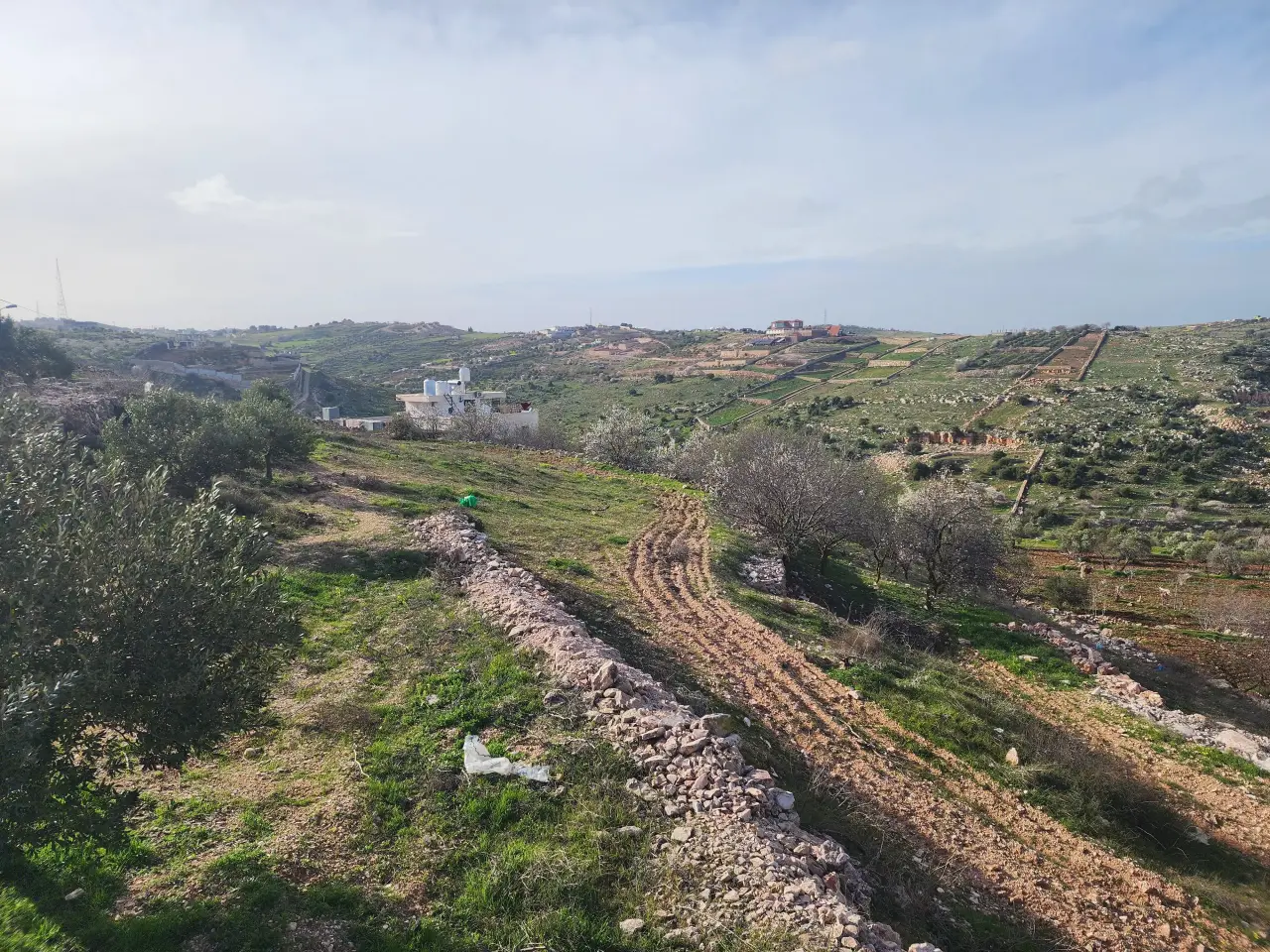 Land for sale in Sakhra – photo 5