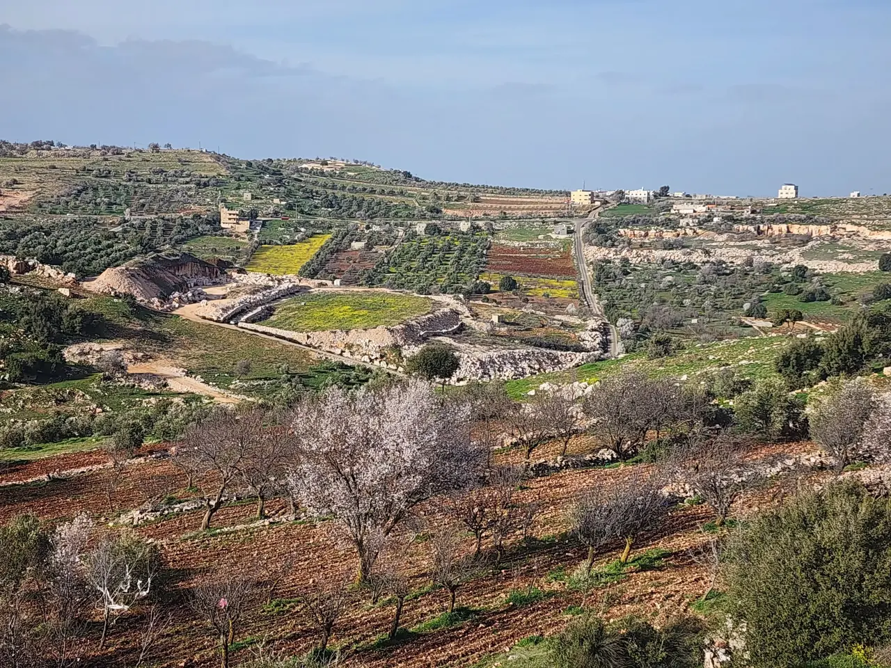 18-dunum fruit-tree land with two wells in Sakhra, Ajloun